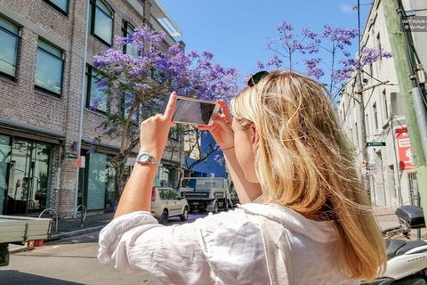 3 Hour Highlights Tour: The Arts & Culture Of Chippendale & Redfern - Accommodation NT 1