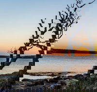 Full-Day Kiama Coast and the Royal National Park Guided Tour - Accommodation NT