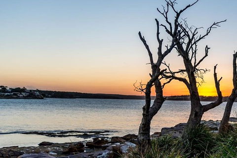 Full-Day Kiama Coast And The Royal National Park Guided Tour - Accommodation NT 0