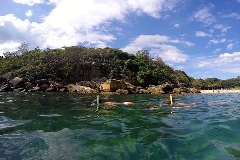 Manly And Shelly Beach Snorkeling Tour - Accommodation NT 3