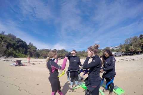 Manly And Shelly Beach Snorkeling Tour - Accommodation NT 2