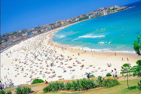 Half-Day Walking Tour In Sydney - Accommodation NT 3
