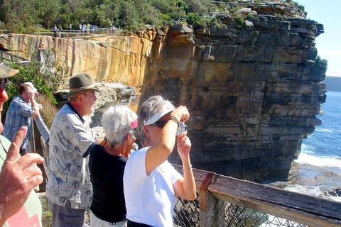 Half-Day Walking Tour In Sydney - Accommodation NT 2