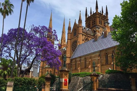 Half-Day Walking Tour In Sydney - Accommodation NT 4