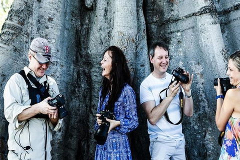 Sydney Travel Morning Photography Tour - Accommodation NT 5