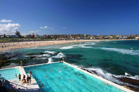 Private Sydney City & Bondi Beach Half Day Tour - Accommodation NT 2