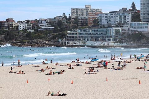 Private Sydney City & Bondi Beach Half Day Tour - Accommodation NT 3