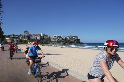 Manly Beach & Sunset Cruise - Accommodation NT 5