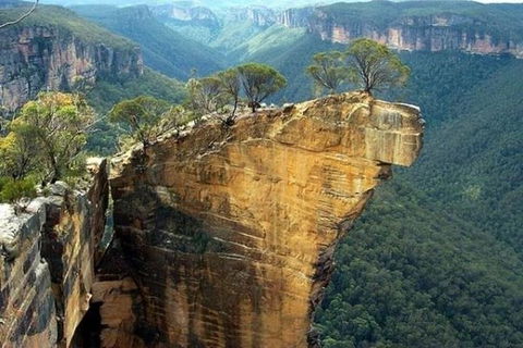 Full-Day Blue Mountains Small-Group Tour With River Cruise - Accommodation NT 5