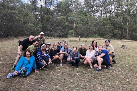 Full-Day Guided Tour Of Blue Mountains With Pick Up - Accommodation NT 3