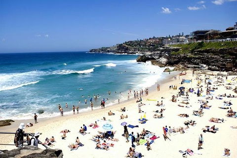 Sydney Bondi Beach And Watsons Bay Half-Day Tour - NT Tourism 1