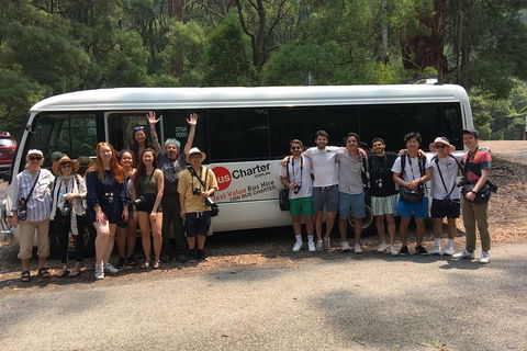 Private 24 Seat Mini Bus Sydney CBD To BankWest Stadium Transfer - Accommodation NT 4
