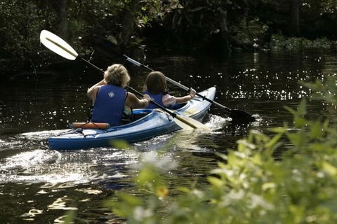 Small-Group Kayaking Experience In Sydney - Accommodation NT 1