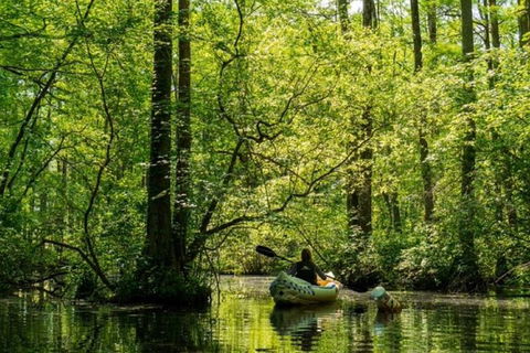 Small-Group Kayaking Experience In Sydney - Accommodation NT 3