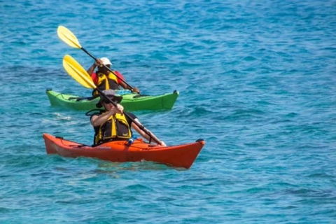 Small-Group Kayaking Experience In Sydney - Accommodation NT 0