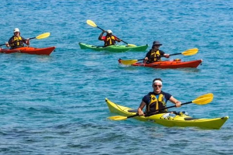 Small-Group Kayaking Experience In Sydney - Accommodation NT 6