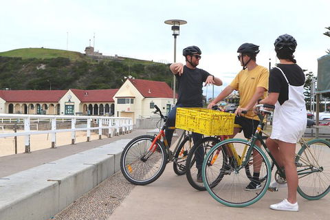 Newcastle Half-Day Bike Tour With Lunch - Accommodation NT 3