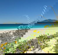 Tea Gardens and Hawks Nest Beach Bus Guided Tour