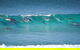 Tea Gardens And Hawks Nest Beach Bus Guided Tour - thumb 13