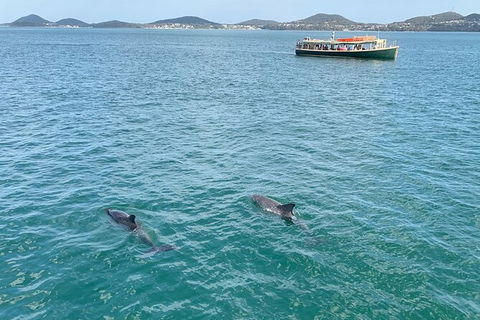 Tea Gardens And Hawks Nest Beach Bus Guided Tour - NT Tourism 12
