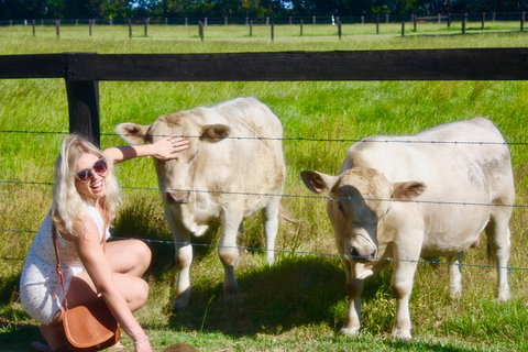 Hipster Sipster Brewery & Distillery Tour - Northern NSW - Accommodation NT 8