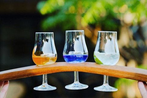 Hipster Sipster Brewery & Distillery Tour - Northern NSW - Accommodation NT 12