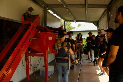 Pecan Farm Tour And Workshop, Byron Bay Hinterland - Accommodation NT 4
