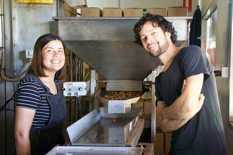 Pecan Farm Tour And Workshop, Byron Bay Hinterland - Accommodation NT 7