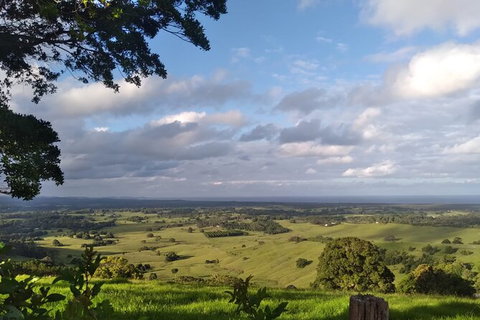 Pecan Farm Tour And Workshop, Byron Bay Hinterland - Accommodation NT 1