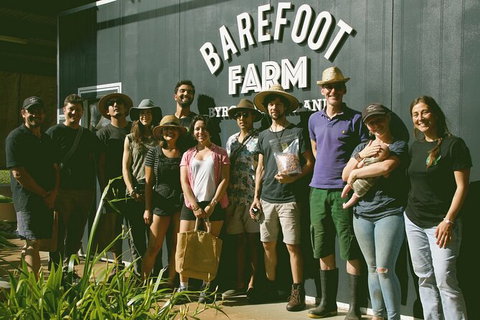 Pecan Farm Tour And Workshop, Byron Bay Hinterland - Accommodation NT 0