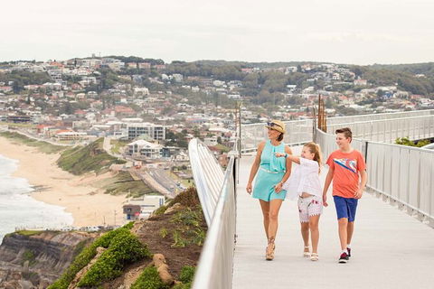Newcastle Scenic Explorer - 2 Hour Tour By Minibus - Accommodation NT 11