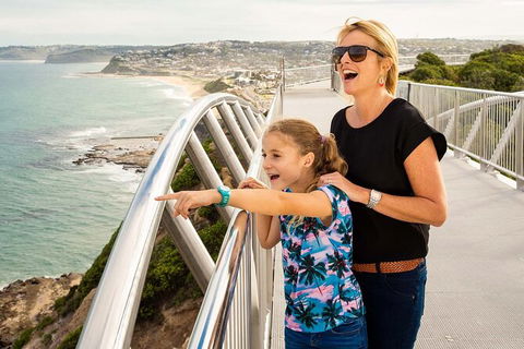 Newcastle Scenic Explorer - 2 Hour Tour By Minibus - Accommodation NT 0
