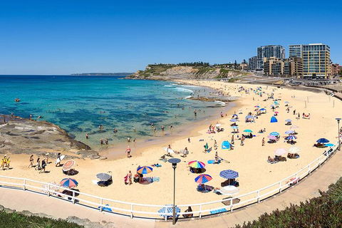Newcastle Scenic Explorer - 2 Hour Tour By Minibus - Accommodation NT 16