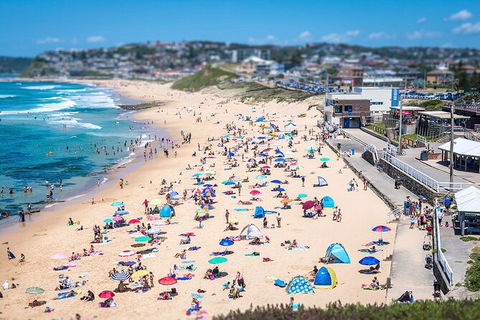 Newcastle Scenic Explorer - 2 Hour Tour By Minibus - Accommodation NT 6