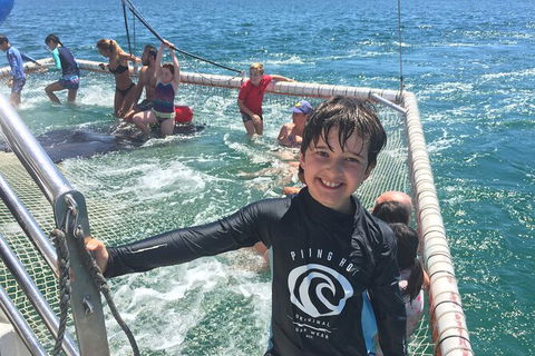 Port Stephens Private Bus Tour From Sydney, Option Of Dolphin Or Whale Cruises - Accommodation NT 2