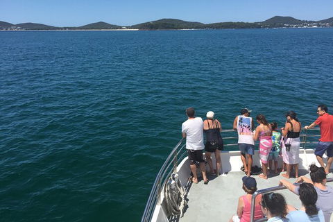 Port Stephens Private Bus Tour From Sydney, Option Of Dolphin Or Whale Cruises - Accommodation NT 3