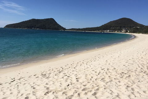 Port Stephens Private Bus Tour From Sydney, Option Of Dolphin Or Whale Cruises - Accommodation NT 1