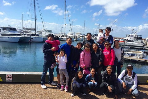 Port Stephens Private Bus Tour From Sydney, Option Of Dolphin Or Whale Cruises - Accommodation NT 7