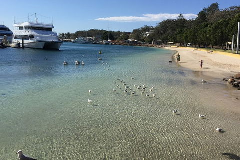 Port Stephens Private Bus Tour From Sydney, Option Of Dolphin Or Whale Cruises - Accommodation NT 8