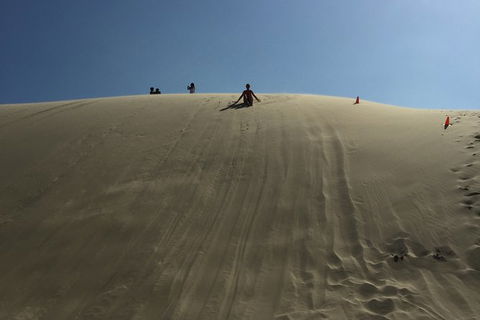 Port Stephens Private Bus Tour From Sydney, Option Of Dolphin Or Whale Cruises - Accommodation NT 6