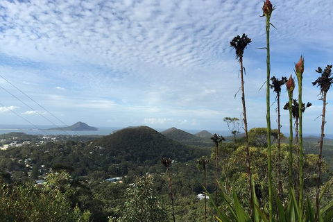 Port Stephens Private Bus Tour From Sydney, Option Of Dolphin Or Whale Cruises - Accommodation NT 4