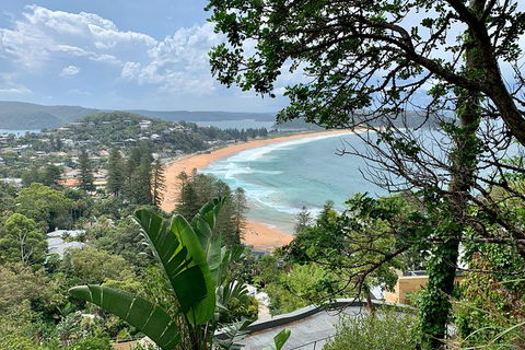 Sydney\'s Northern Beaches & Ku-ring-gai National Park Small Tour Departing Manly - NT Tourism 2