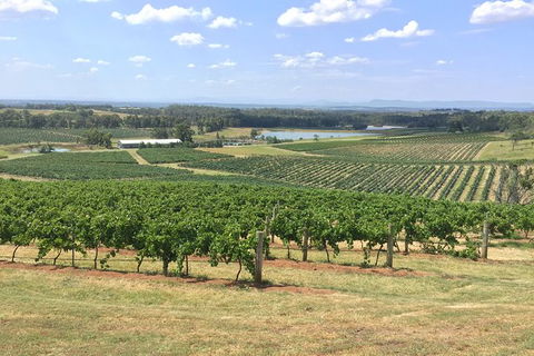 Hunter Valley Wine Tasting All Inclusive Private Bus Tour From Sydney - NT Tourism 6