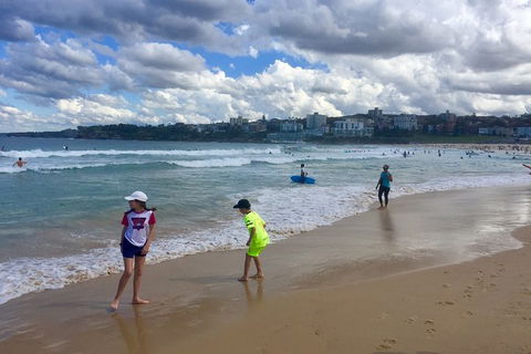 Sydney City, Harbour And Bondi All Inclusive Private Bus Tour, Included Transfer - Accommodation NT 6