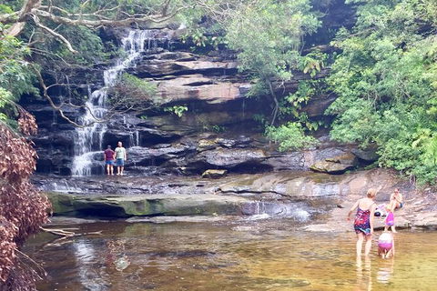 Central Coast Private Tour From Sydney, Plus Included Australian Reptile Park - NT Tourism 6