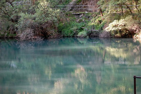 Jenolan Caves - Wildlife And Caves - NT Tourism 1