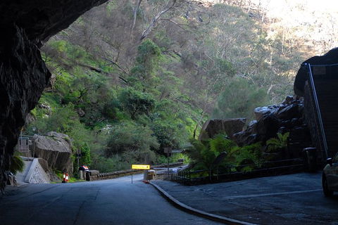 Jenolan Caves - Wildlife And Caves - NT Tourism 6