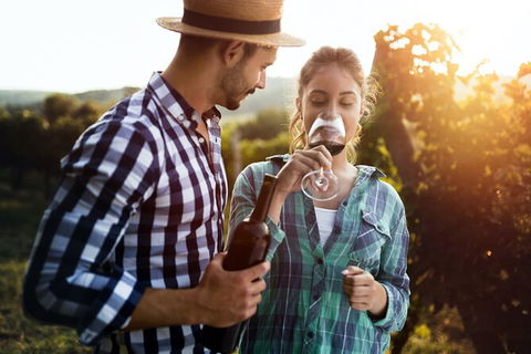 Private Hunter Valley Tour - Accommodation NT 7