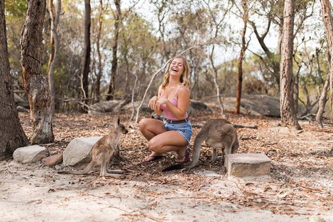 Private Hunter Valley Tour - Accommodation NT 6