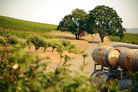 Private Hunter Valley Tour - Accommodation NT 3